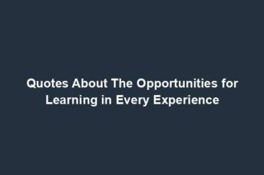 Quotes About The Opportunities for Learning in Every Experience